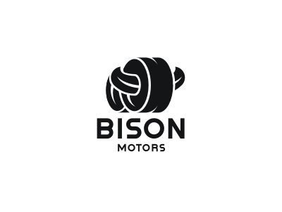 BISON motors
