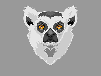 lemur