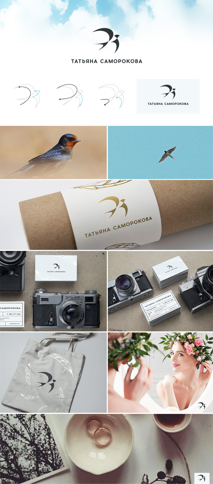 swallow presentation