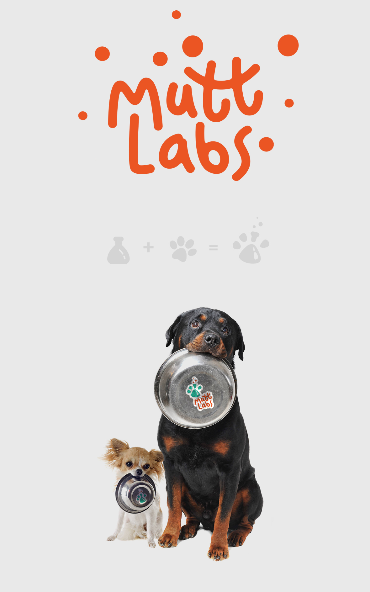 Mutt Labs presentation