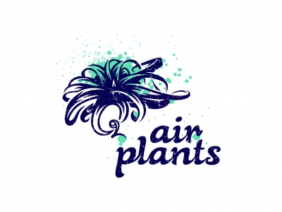 Air Plants