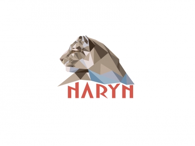 Naryn logo
