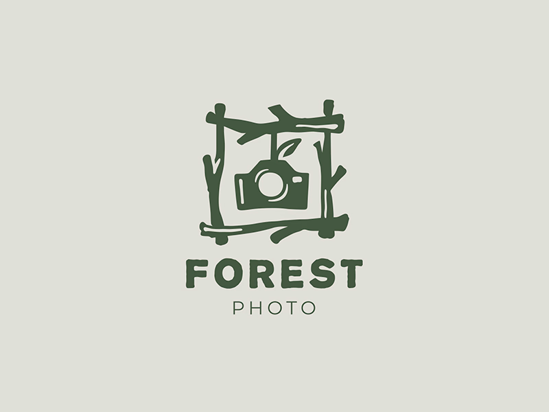 Forest photo