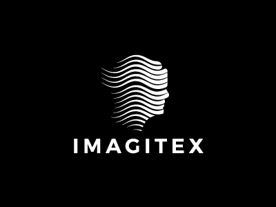 Imagitex2