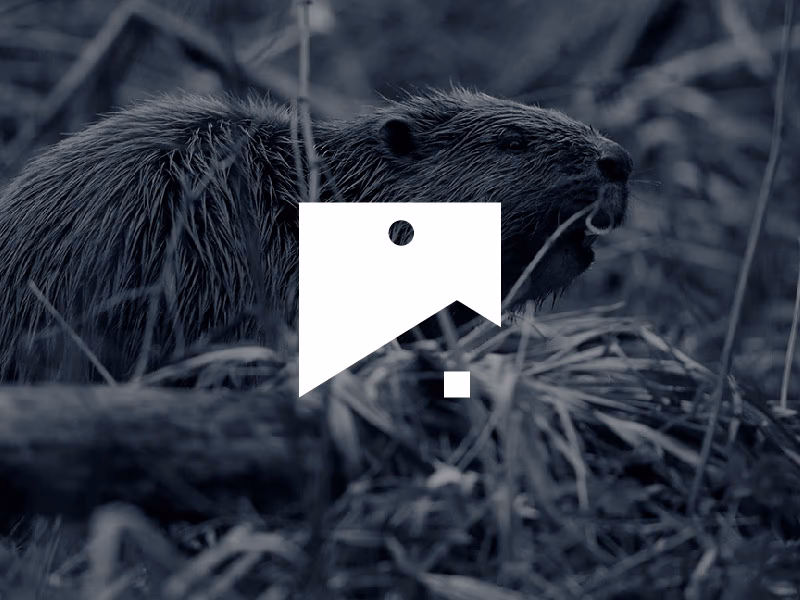 Busy Beaver presentation