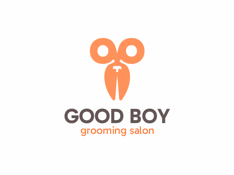 Good Boy presentation