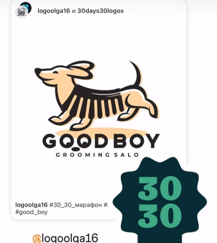 Good Boy presentation