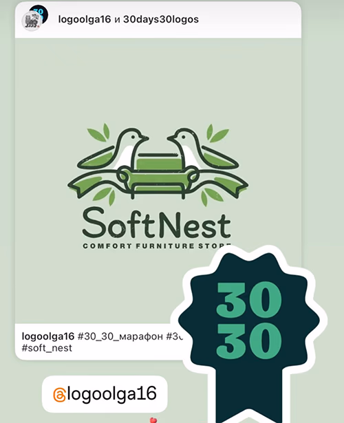 Soft Nest presentation
