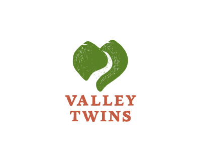 Валлей твинс