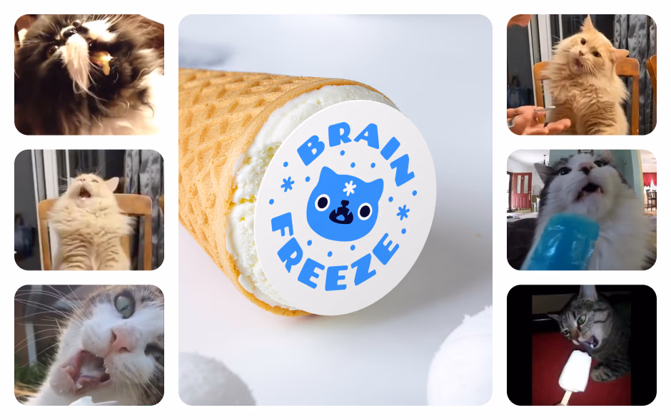 Brain freeze presentation