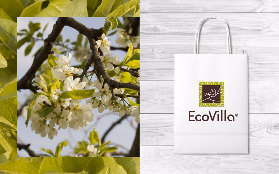 EcoVilla presentation