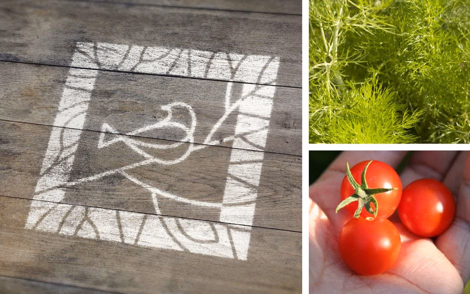 EcoVilla presentation