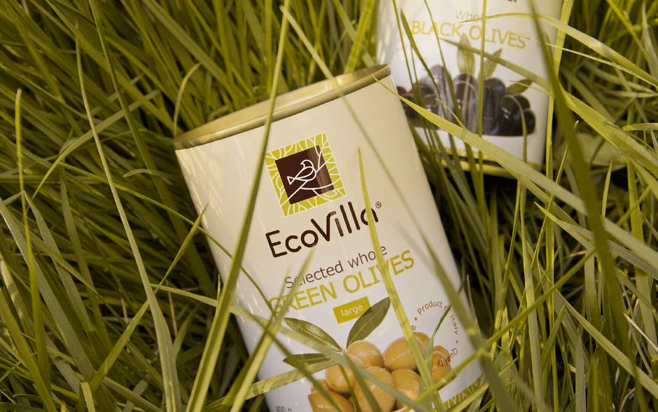 EcoVilla presentation
