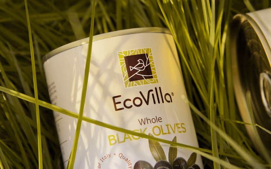 EcoVilla presentation