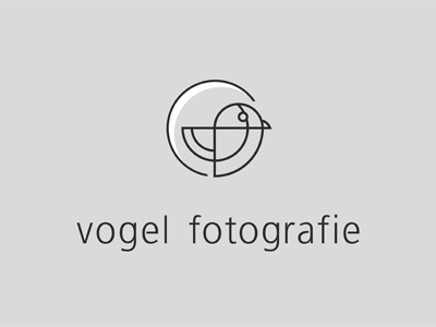 VOGEL FOTOGRAFIE