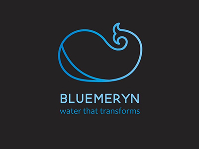 Вариант для конкурса