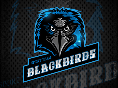 Blackbirds sport logo