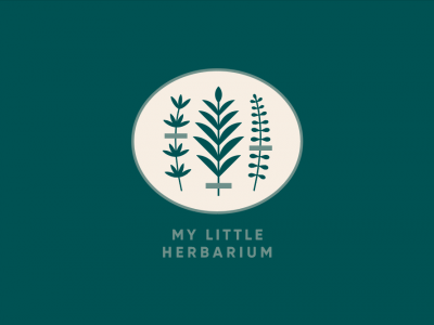 My little herbarium