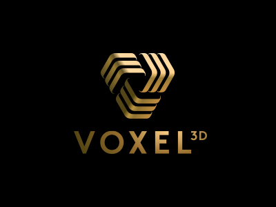 Voxel 3d printing