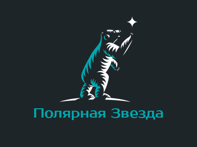 Полярная звезда