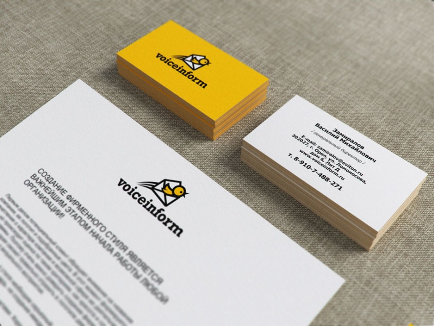 voiceinform presentation