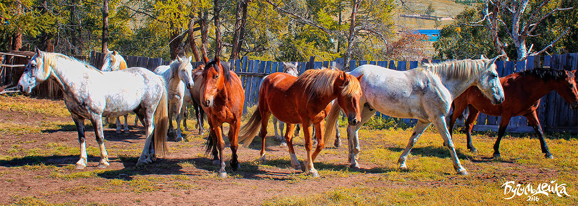 Бугульдейка presentation