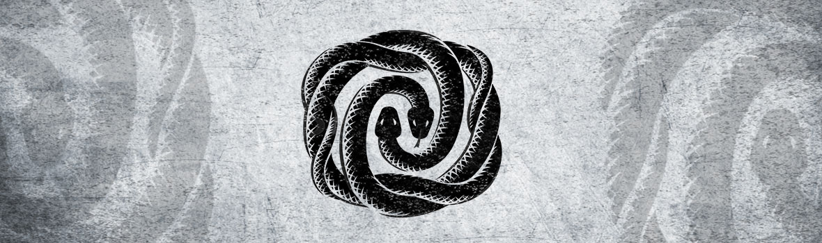 SNAKEROSE presentation