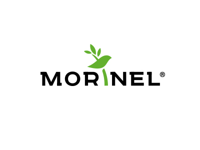 Morinel