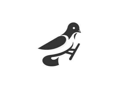 Bird logo design