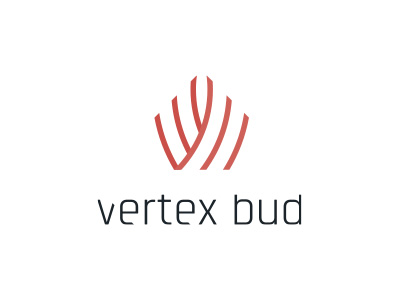 Vertex Bud 2