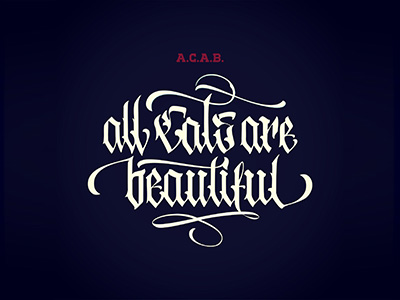 all cats are beautiful