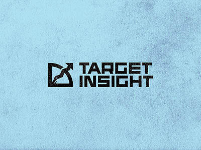 Таргет Инсайт