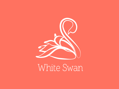 White swan
