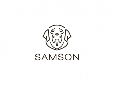 Лого SAMSON