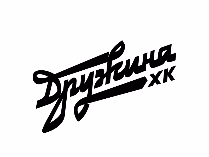 Дружина