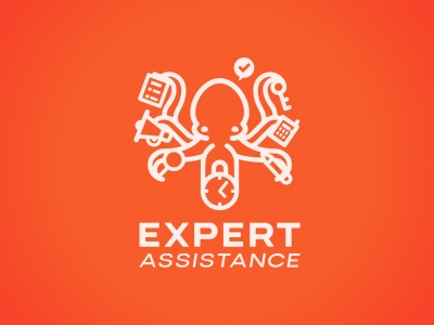 Expert Assitance