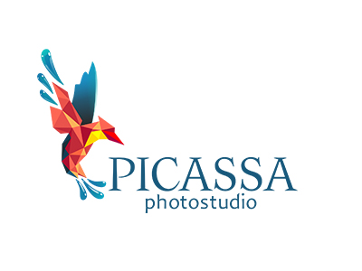 Picassa