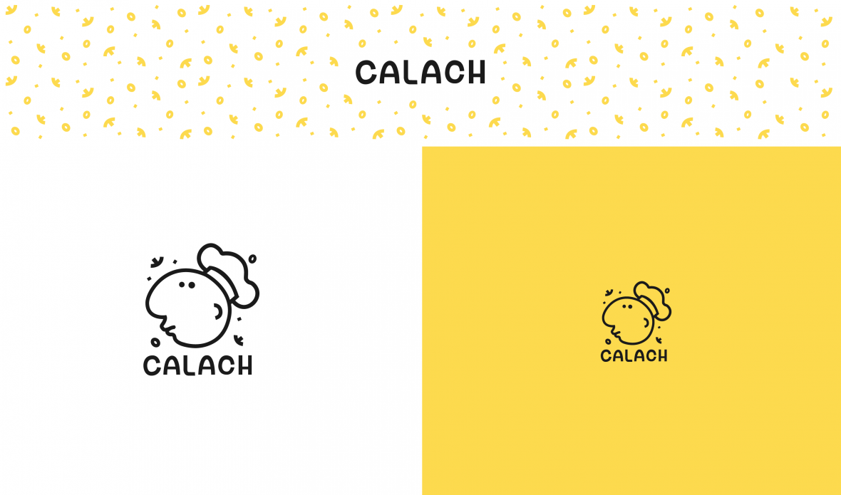 CALACH presentation