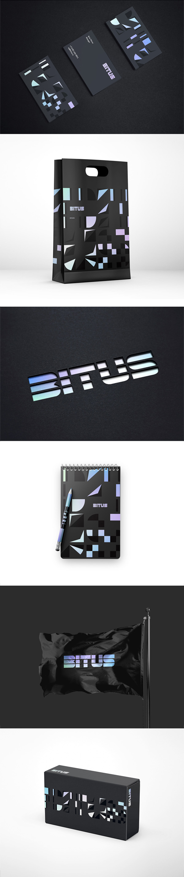 Bitus presentation